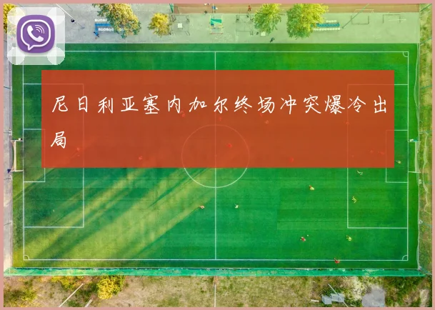 尼日利亚塞内加尔终场冲突爆冷出局