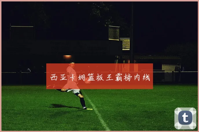 西亚卡姆篮板王霸榜内线