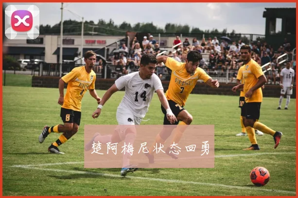 楚阿梅尼状态回勇