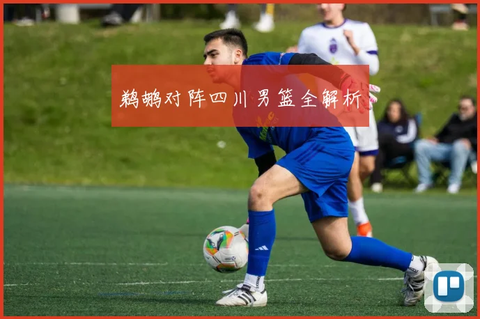 鹈鹕对阵四川男篮全解析