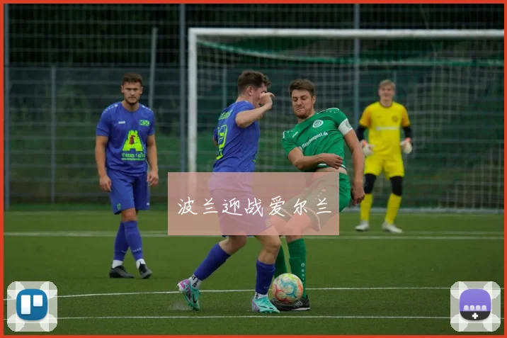 波兰迎战爱尔兰