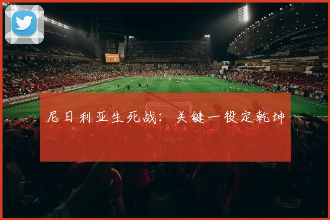 尼日利亚生死战：关键一役定乾坤