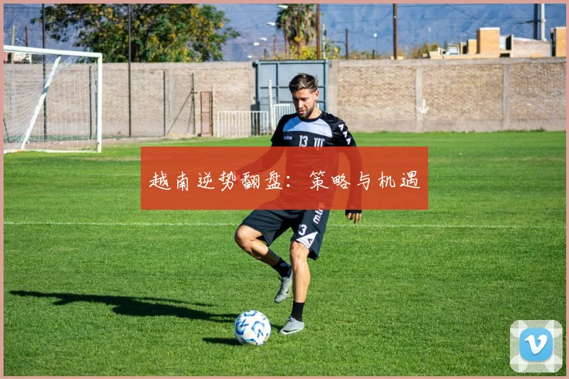 越南逆势翻盘：策略与机遇