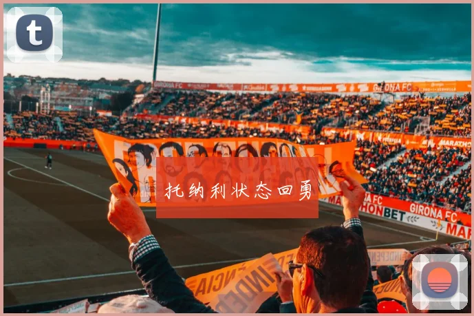 托纳利状态回勇
