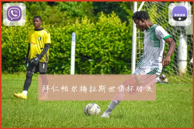 拜仁帕尔梅拉斯世俱杯对决