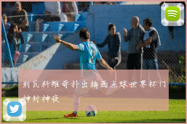 利瓦科维奇扑出梅西点球世界杯门神封神夜