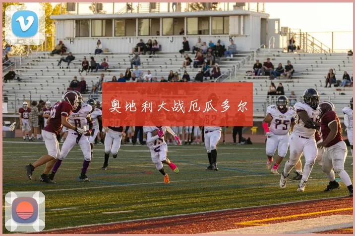 奥地利大战厄瓜多尔