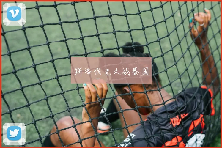 斯洛伐克大战泰国