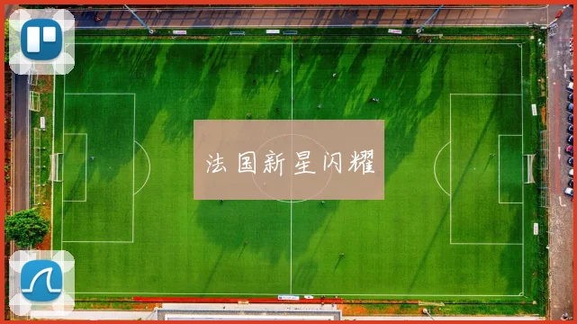 法国新星闪耀