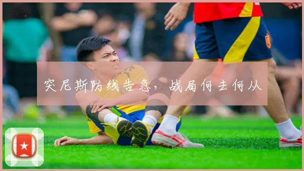 突尼斯防线告急，战局何去何从
