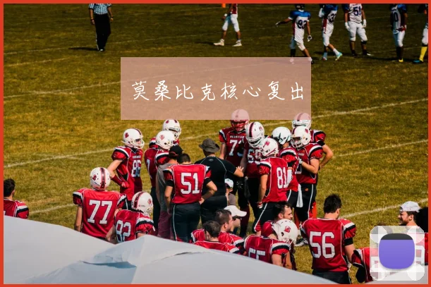 莫桑比克核心复出
