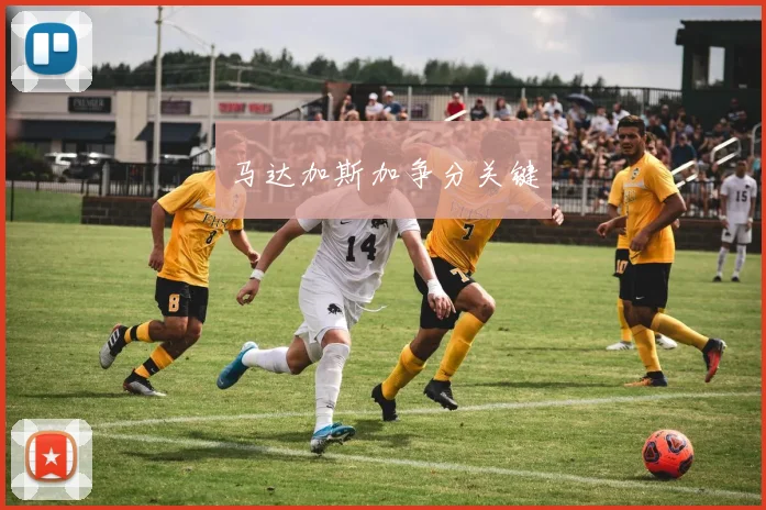 马达加斯加争分关键