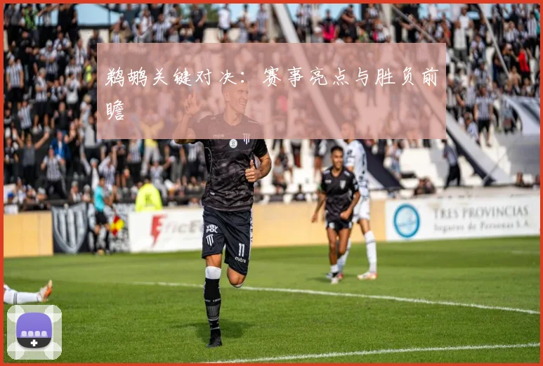 鹈鹕关键对决：赛事亮点与胜负前瞻