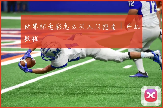 世界杯竞彩怎么买入门指南｜手机教程