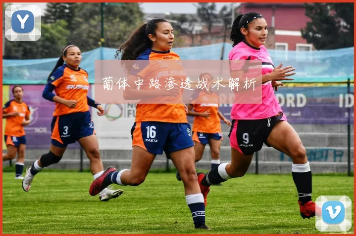 葡体中路渗透战术解析