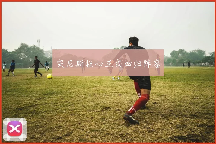 突尼斯核心正式回归阵容