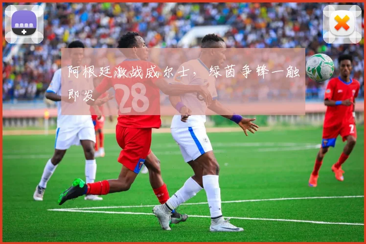 阿根廷激战威尔士，绿茵争锋一触即发