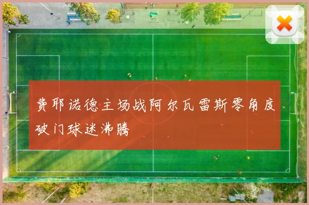 费耶诺德主场战阿尔瓦雷斯零角度破门球迷沸腾