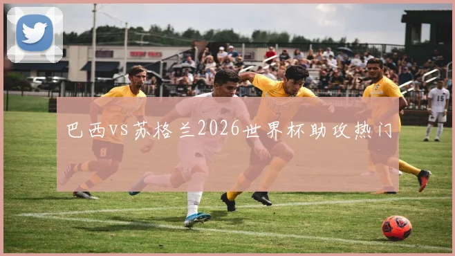 巴西vs苏格兰2026世界杯助攻热门