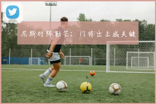 尼斯对阵勒芒：门将出击成关键