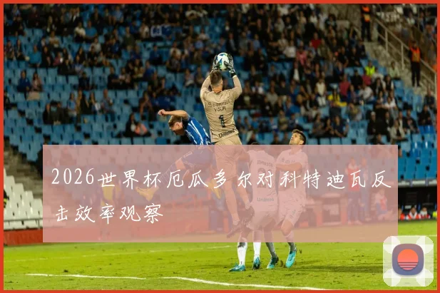 2026世界杯厄瓜多尔对科特迪瓦反击效率观察